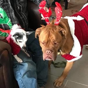 Meet your Posher, Martha